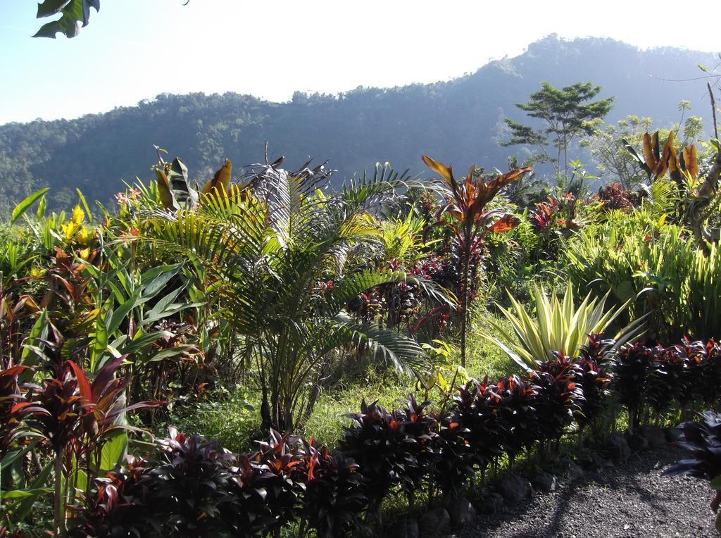 The Bukit Artha Bed & Breakfast ซิเดอมัน ภายนอก รูปภาพ