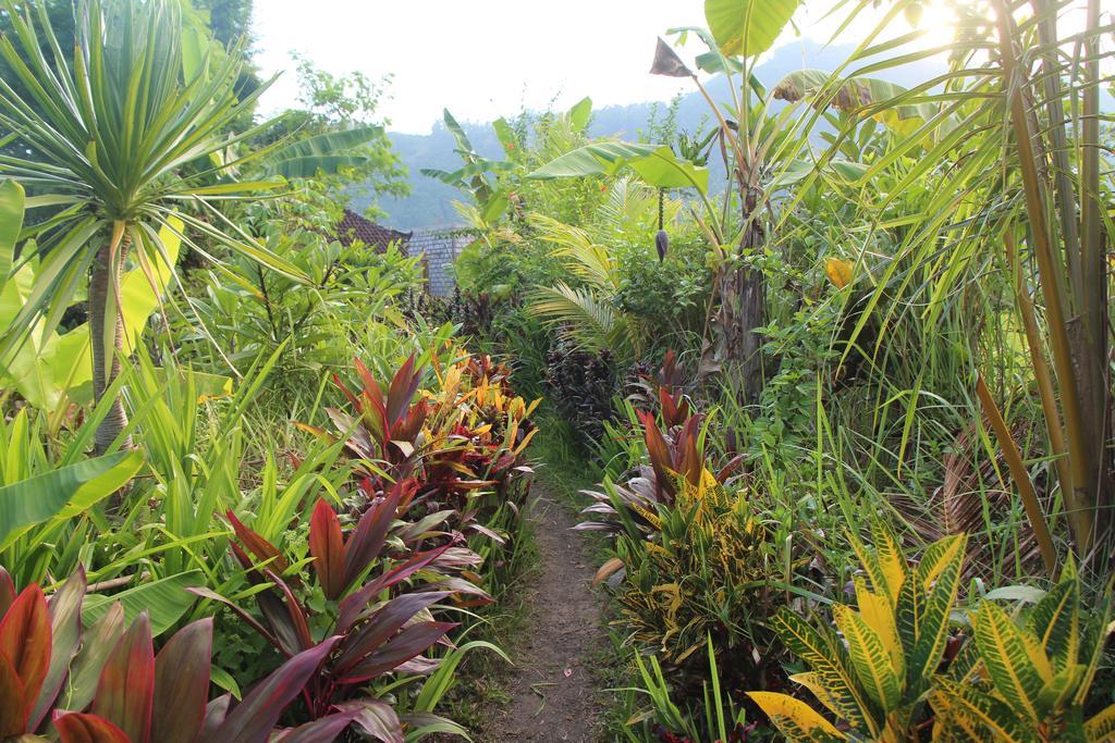 The Bukit Artha Bed & Breakfast ซิเดอมัน ภายนอก รูปภาพ