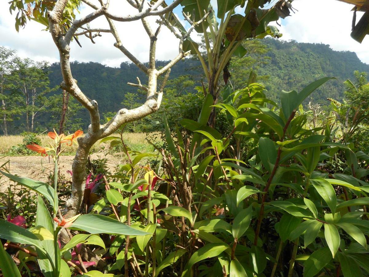 The Bukit Artha Bed & Breakfast ซิเดอมัน ภายนอก รูปภาพ