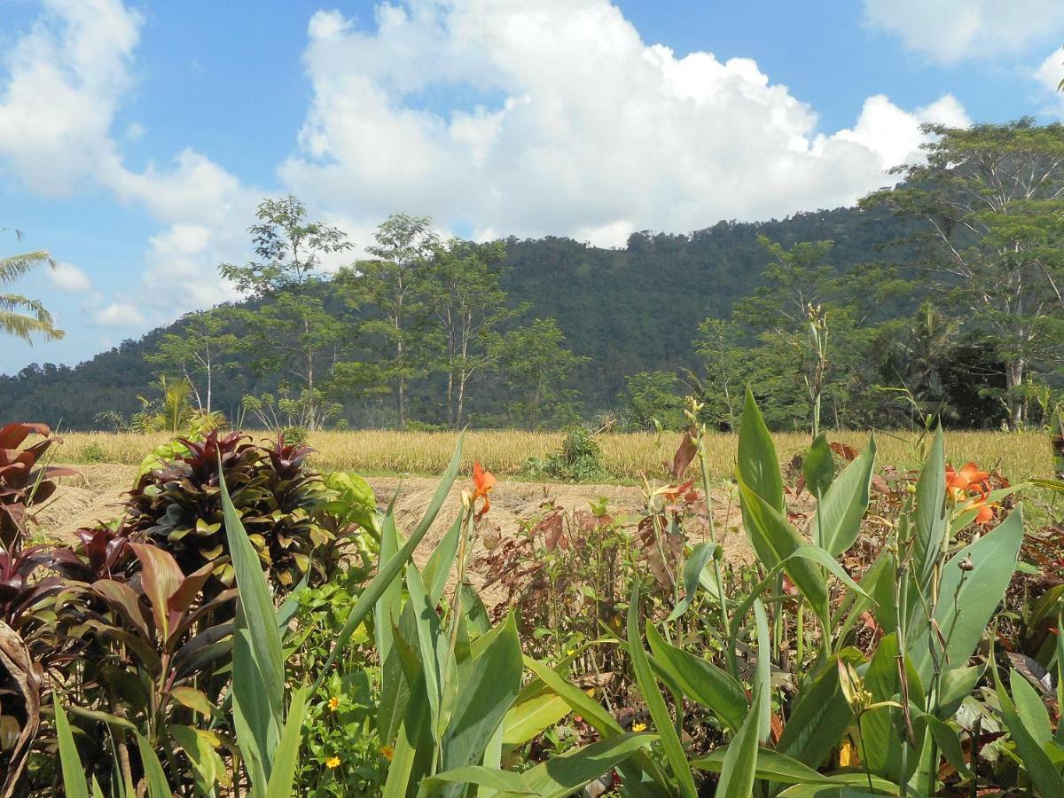 The Bukit Artha Bed & Breakfast ซิเดอมัน ภายนอก รูปภาพ