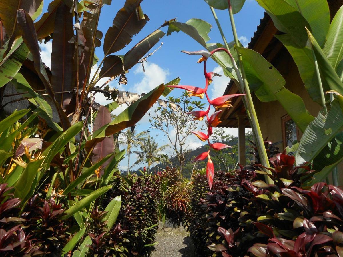 The Bukit Artha Bed & Breakfast ซิเดอมัน ภายนอก รูปภาพ