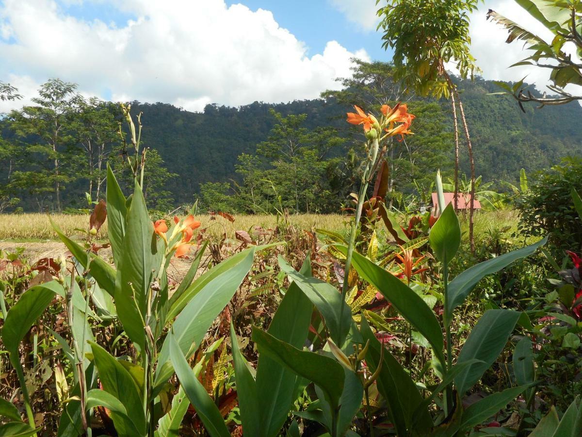 The Bukit Artha Bed & Breakfast ซิเดอมัน ภายนอก รูปภาพ
