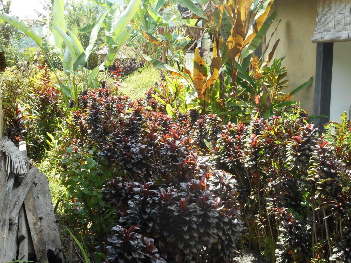 The Bukit Artha Bed & Breakfast ซิเดอมัน ภายนอก รูปภาพ