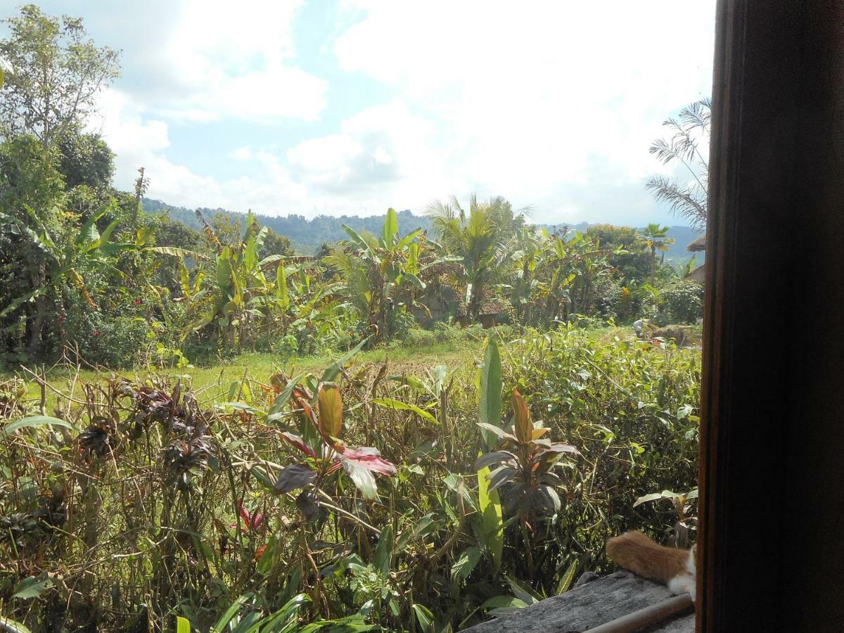 The Bukit Artha Bed & Breakfast ซิเดอมัน ภายนอก รูปภาพ