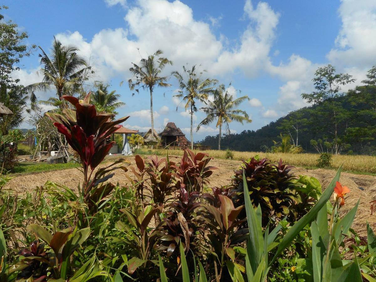 The Bukit Artha Bed & Breakfast ซิเดอมัน ภายนอก รูปภาพ
