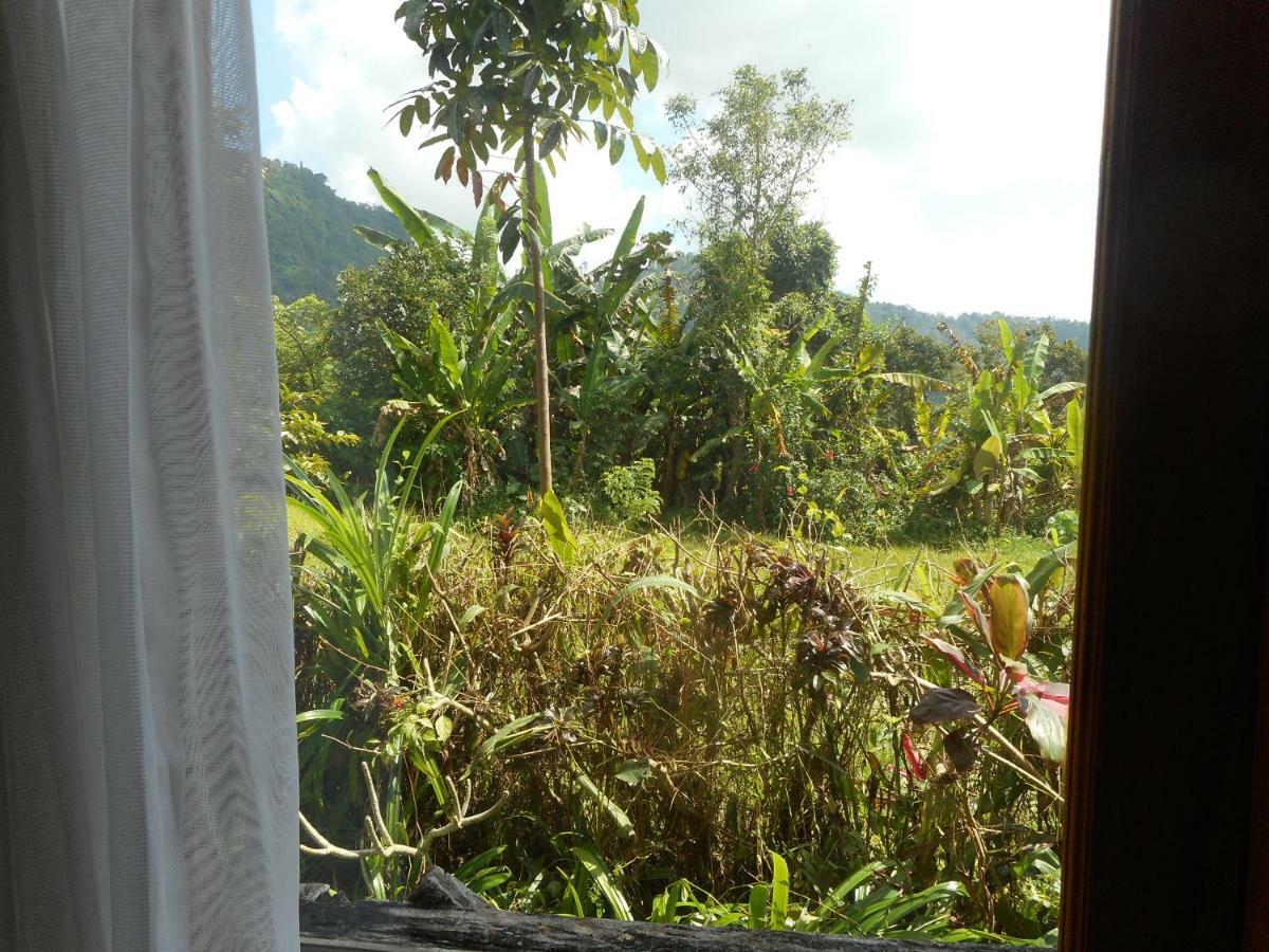The Bukit Artha Bed & Breakfast ซิเดอมัน ภายนอก รูปภาพ